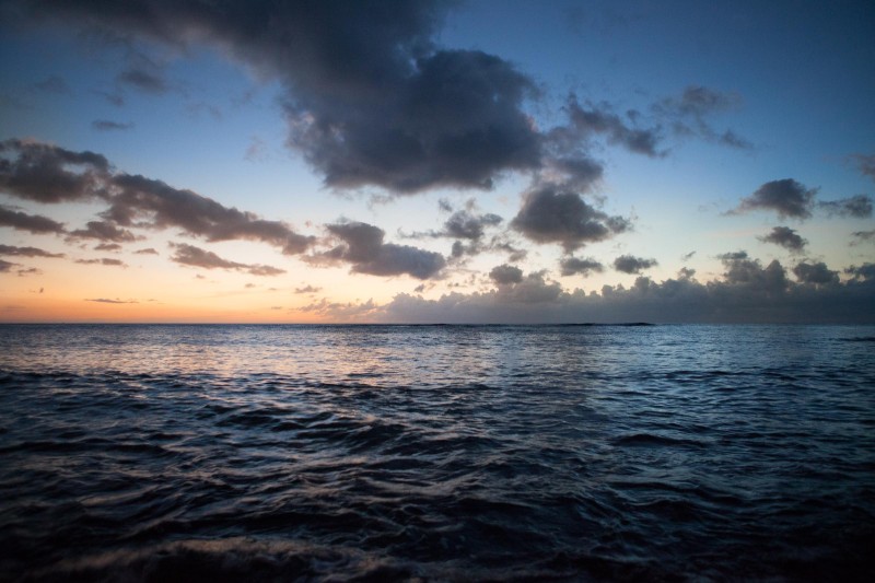A photo of the north shore of Hawaii