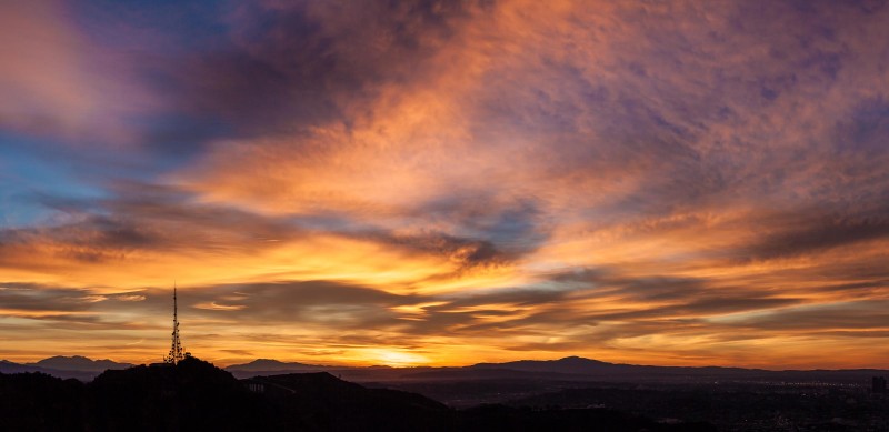 A photo of the sunrise as seen from the wisdom tree in Los Angeles